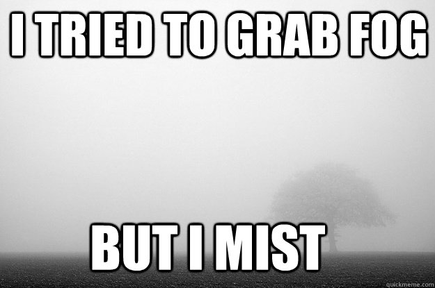 i tried to grab fog but i mist - i tried to grab fog but i mist  punny mist