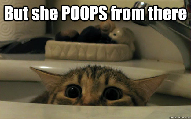 But she POOPS from there  - But she POOPS from there   Shocked Kitty