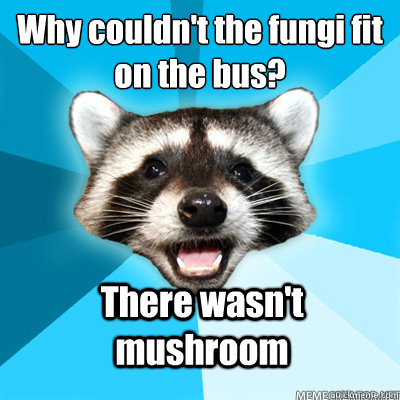 Why couldn't the fungi fit on the bus? There wasn't mushroom - Why couldn't the fungi fit on the bus? There wasn't mushroom  Misc