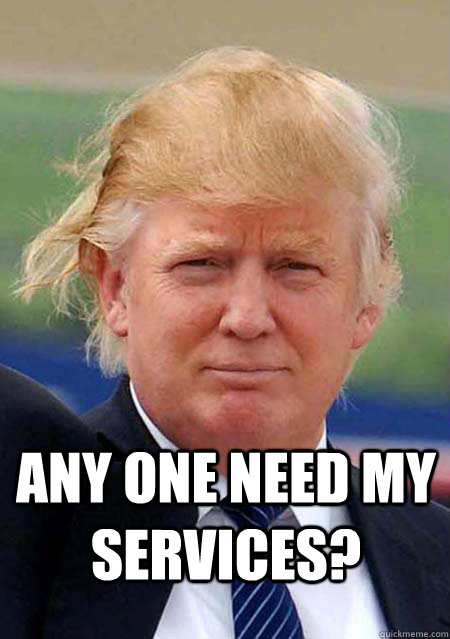  Any one Need my Services?  -  Any one Need my Services?   Donald Trump Feeney Swag Meme