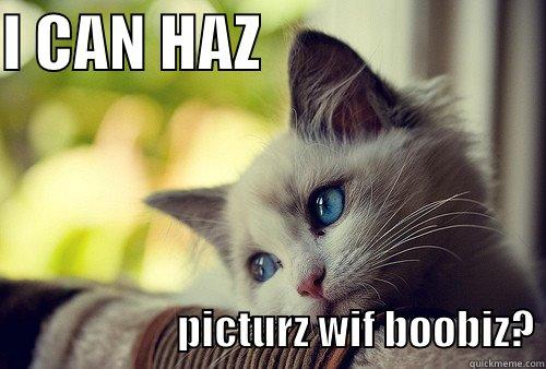 I CAN HAZ                                              PICTURZ WIF BOOBIZ? First World Problems Cat
