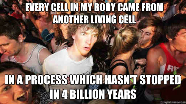 Every cell in my body came from another living cell In a process which hasn't stopped in 4 billion years - Every cell in my body came from another living cell In a process which hasn't stopped in 4 billion years  Misc