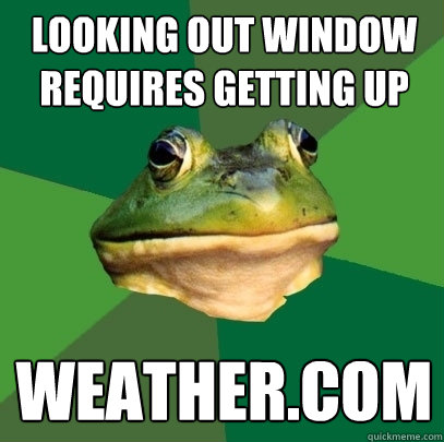 looking out window requires getting up weather.com  Foul Bachelor Frog