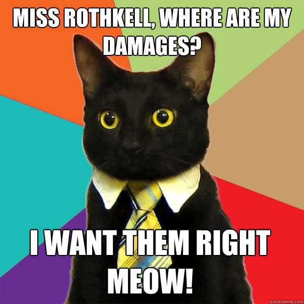 mISS ROTHKELL, WHERE ARE MY DAMAGES? i WANT THEM RIGHT MEOW!  Business Cat