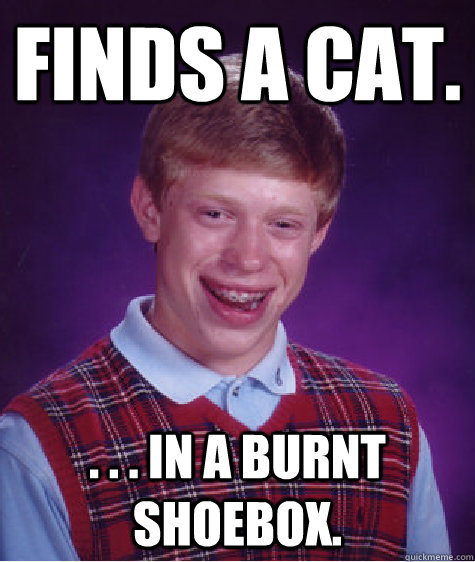 Finds a cat. . . . in a burnt shoebox.  Bad Luck Brian