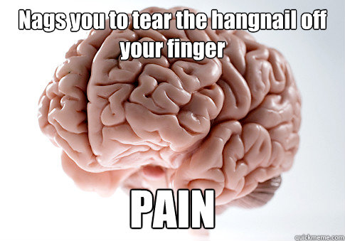 Nags you to tear the hangnail off your finger PAIN  Scumbag Brain