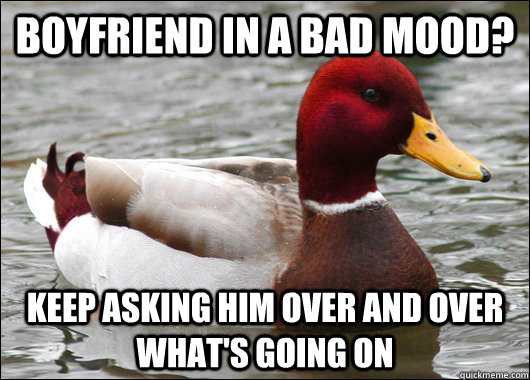 boyfriend in a bad mood? keep asking him over and over what's going on  Malicious Advice Mallard