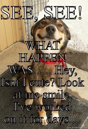 SEE, SEE!  WHAT HAPPEN WAS...... HEY, ISNT I CUTE? LOOK AT ME SMILE. I'VE WORKED ON IT FOR DAYS.... Good Dog Greg
