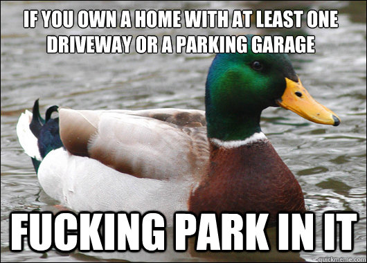 If you own a home with at least one driveway or a parking garage FUCKING PARK IN IT  Actual Advice Mallard