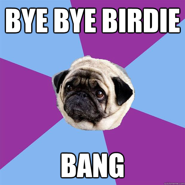 Bye Bye Birdie Bang  Lonely Pug