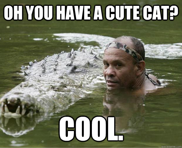 Oh you have a cute cat? cool.  