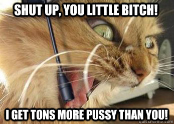 Shut up, you little bitch! I get tons more pussy than you!  Angry Gamer Cat