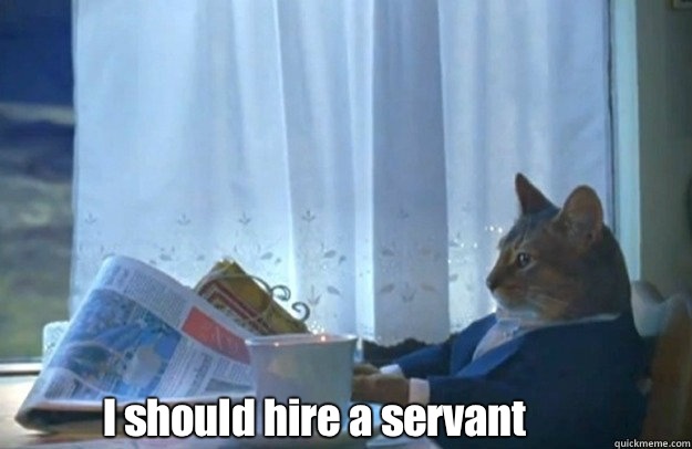 I should hire a servant  Sophisticated Cat is broke