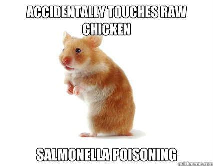 Accidentally touches raw chicken Salmonella Poisoning   