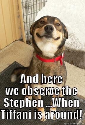  AND HERE WE OBSERVE THE STEPHEN ...WHEN TIFFANI IS AROUND! Good Dog Greg