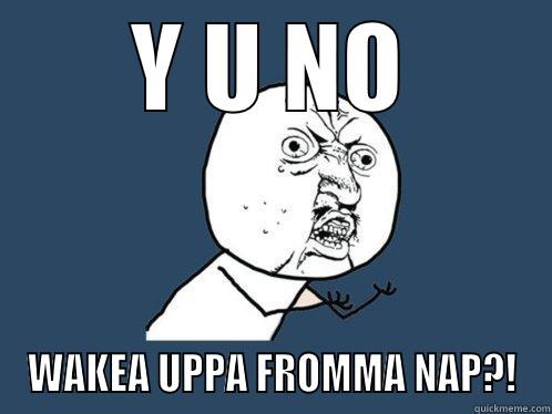 Y U NO WAKEA UPPA FROMMA NAP?! Y U No