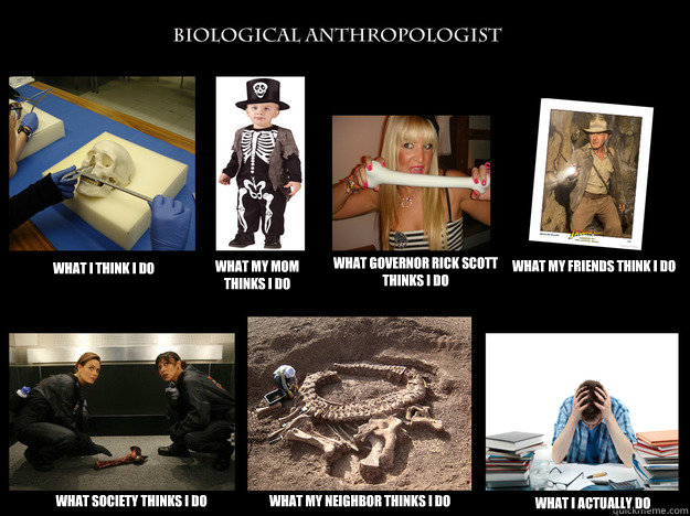 What I think I do What my mom thinks I do What Governor Rick Scott thinks I do What my friends think i do What Society thinks I do What my neighbor thinks I do What I actually do  Anthropologist