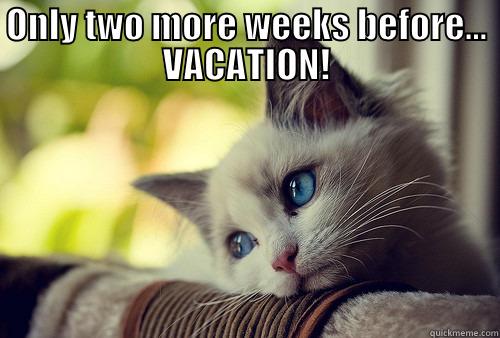 VACATION ANTICIPATION - ONLY TWO MORE WEEKS BEFORE... VACATION!  First World Problems Cat