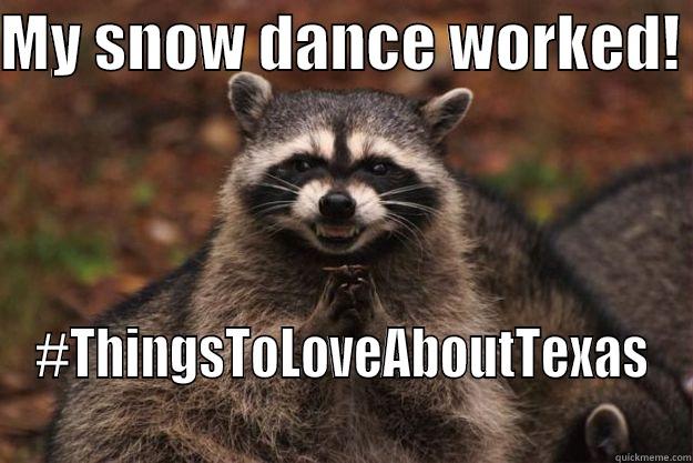 MY SNOW DANCE WORKED!  #THINGSTOLOVEABOUTTEXAS Evil Plotting Raccoon