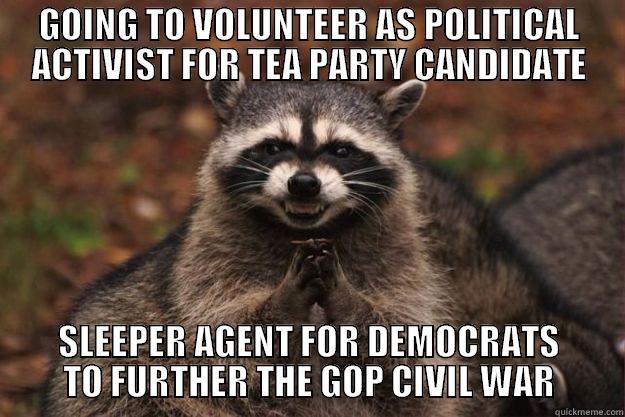 GOING TO VOLUNTEER AS POLITICAL ACTIVIST FOR TEA PARTY CANDIDATE SLEEPER AGENT FOR DEMOCRATS TO FURTHER THE GOP CIVIL WAR Evil Plotting Raccoon