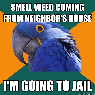 Smell weed coming from neighbor's house I'm going to jail  Paranoid Parrot
