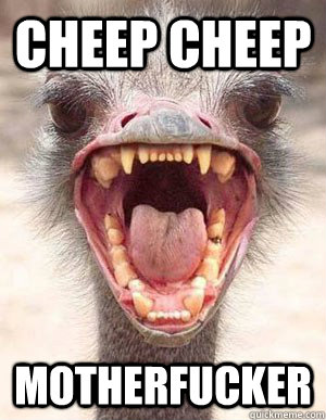CHEEP CHEEP MOTHERFUCKER - CHEEP CHEEP MOTHERFUCKER  Psycho Bird