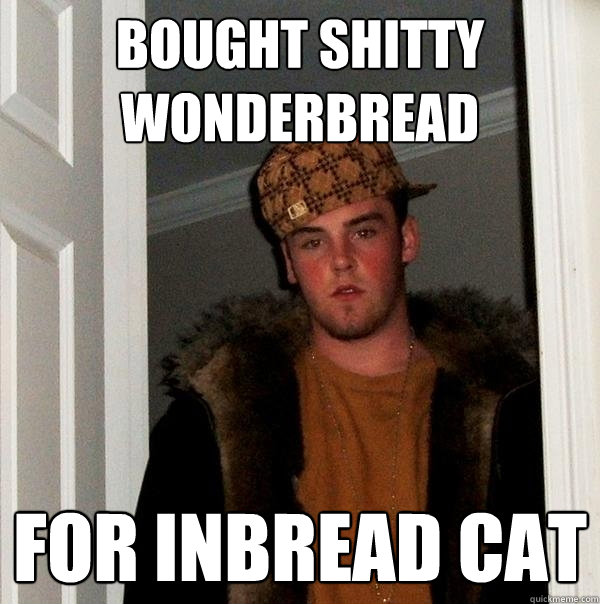 bought shitty wonderbread for inbread cat  Scumbag Steve
