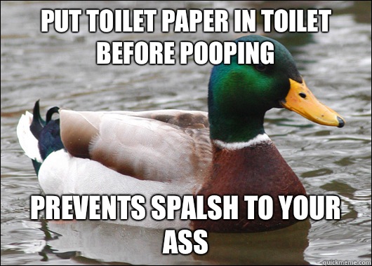 put toilet paper in toilet before pooping prevents spalsh to your ass - put toilet paper in toilet before pooping prevents spalsh to your ass  Actual Advice Mallard