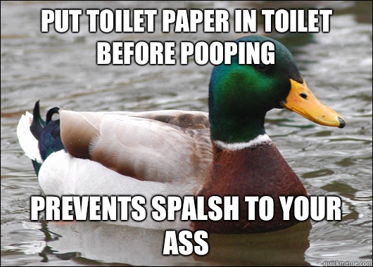 put toilet paper in toilet before pooping prevents spalsh to your ass  Actual Advice Mallard