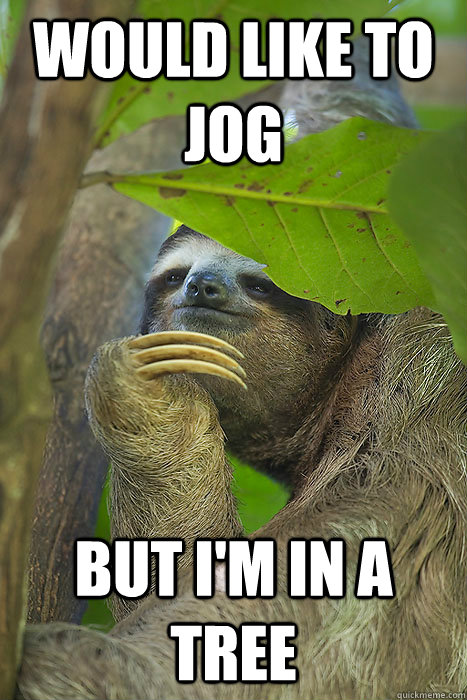 Would like to  Jog But I'm in a tree  Philososloth