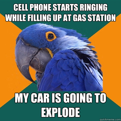 Cell phone starts ringing while filling up at gas station my car is going to explode  Paranoid Parrot