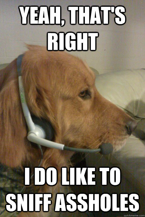 Yeah, that's right i do like to sniff assholes  Xbox Live Dog