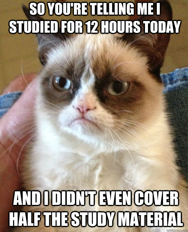 sO YOU'RE TELLING ME I STUDIED fOR 12 HOURS TODAY AND I DIDN'T EVEN COVER HALF THE STUDY MATERIAL  Grumpy Cat
