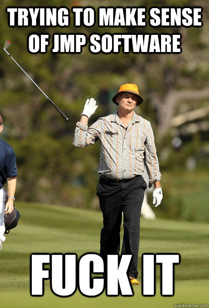 Trying to make sense of JMP Software Fuck It  fuck it bill murray