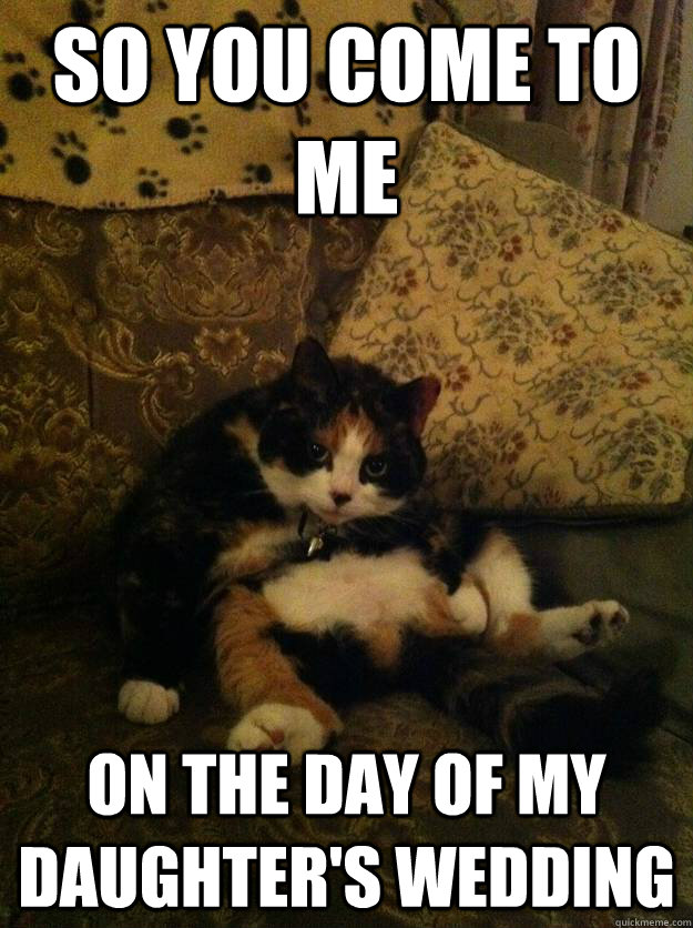 So you come to me  On the day of my daughter's wedding - So you come to me  On the day of my daughter's wedding  Godfather Kitty