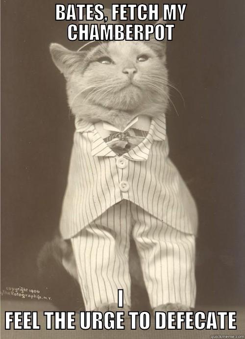 Old Timey Cat - BATES, FETCH MY CHAMBERPOT I FEEL THE URGE TO DEFECATE Misc