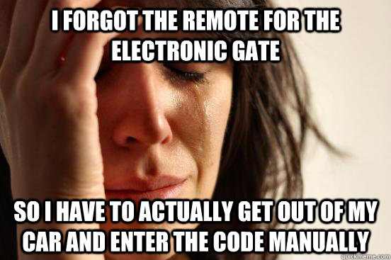I forgot the remote for the electronic gate So I have to actually get out of my car and enter the code manually   First World Problems