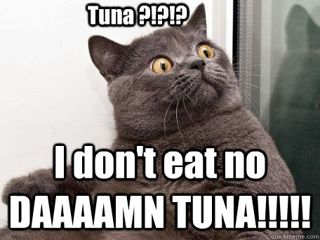 Tuna ?!?!? I don't eat no DAAAAMN TUNA!!!!! - Tuna ?!?!? I don't eat no DAAAAMN TUNA!!!!!  conspiracy cat