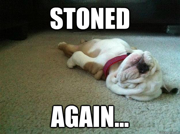 STONED AGAIN... - STONED AGAIN...  MeltyDawg