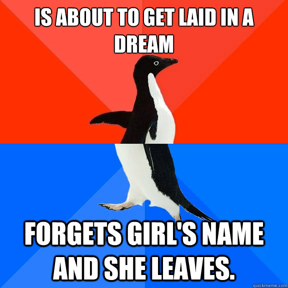 Is about to get laid in a dream Forgets girl's name and she leaves.  Socially Awesome Awkward Penguin
