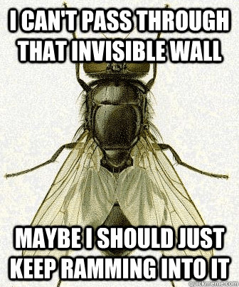 I can't pass through that invisible wall maybe I should just keep ramming into it - I can't pass through that invisible wall maybe I should just keep ramming into it  Fly logic