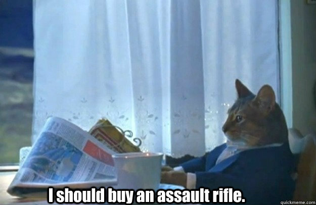 I should buy an assault rifle.  Sophisticated Cat is broke