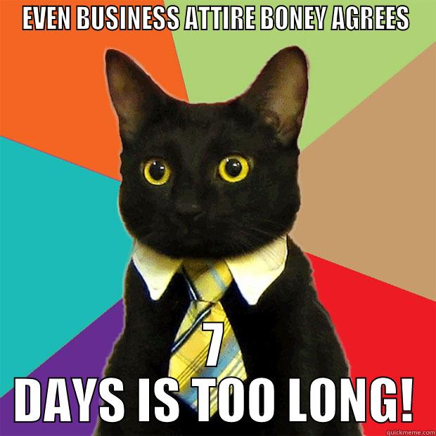 EVEN BUSINESS ATTIRE BONEY AGREES 7 DAYS IS TOO LONG! Business Cat