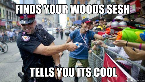 FINDS YOUR WOODS SESH TELLS YOU ITS COOL  Good Guy Cop