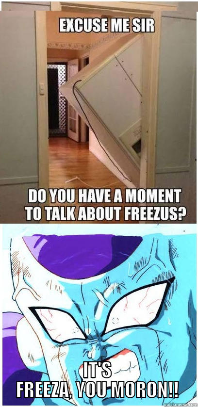 IT'S FREEZA!! -  IT'S FREEZA, YOU MORON!! Misc