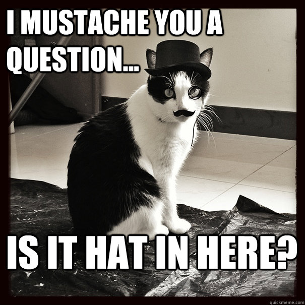 I mustache you a question... Is it hat in here? - I mustache you a question... Is it hat in here?  Misc