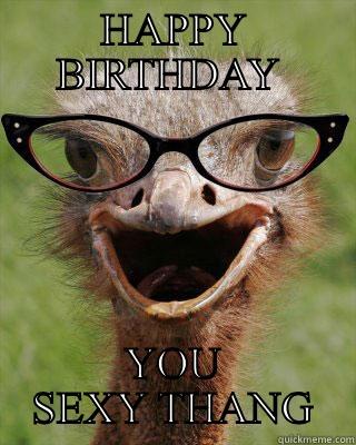 HAPPY BIRTHDAY YOU SEXY THANG - HAPPY BIRTHDAY  YOU SEXY THANG Judgmental Bookseller Ostrich