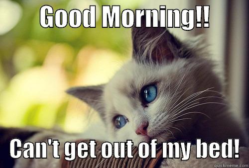         GOOD MORNING!!            CAN'T GET OUT OF MY BED!  First World Problems Cat
