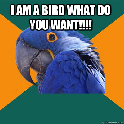 I am a bird what do you want!!!! make sure I didn't share it on facebook  Paranoid Parrot