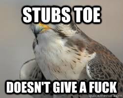 stubs toe Doesn't give a fuck  Fearless Falcon